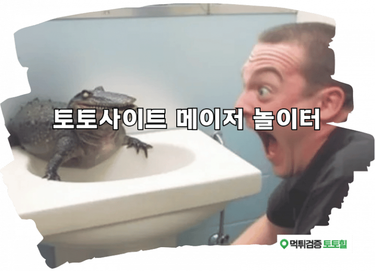 토토사이트 메이저 놀이터